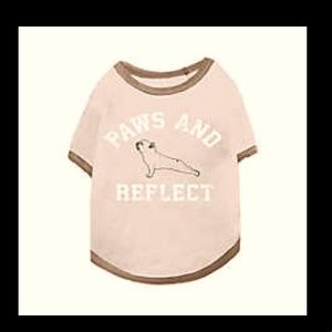 Brand New Grayson Pup The Label dog Tee